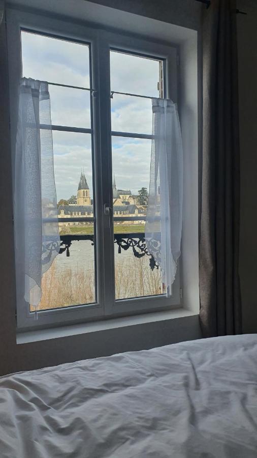 Gites Des Cygnes Vue Sur Loire Et Linge Inclus 블루아 외부 사진